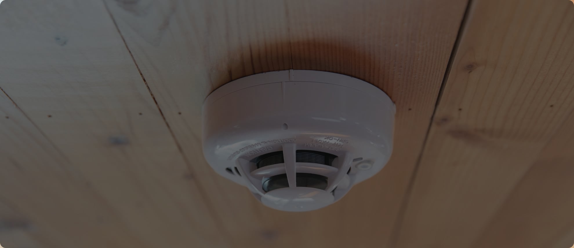 Vivint Monitored Smoke Alarm in Savannah