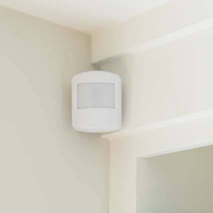 Savannah motion sensor