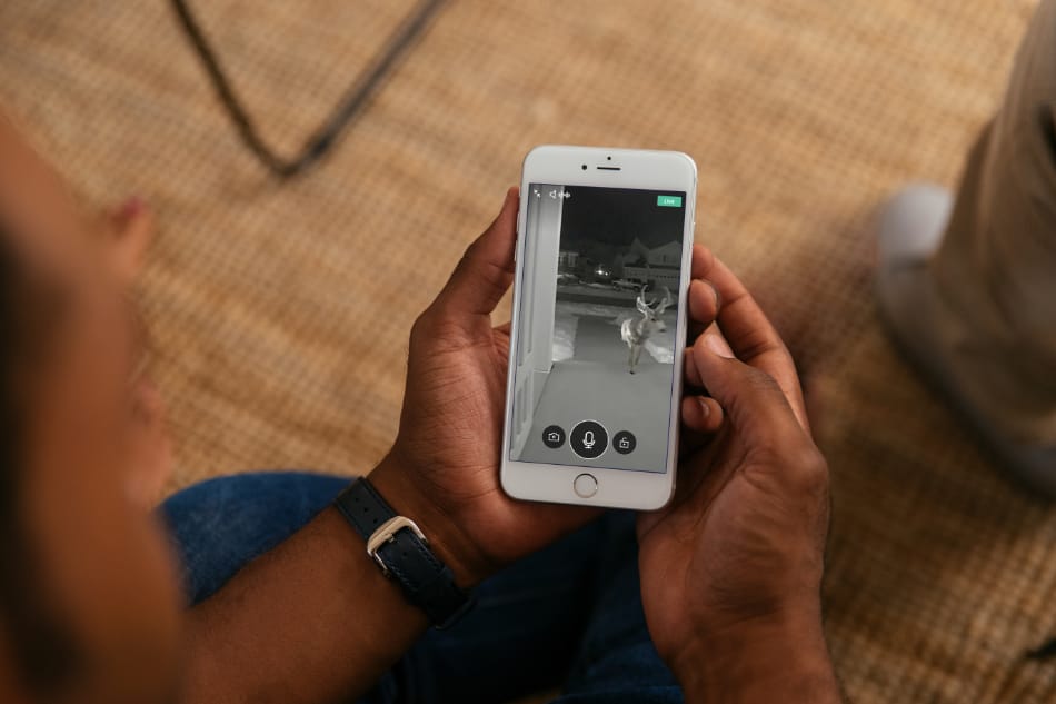 Ladys Island SC security system